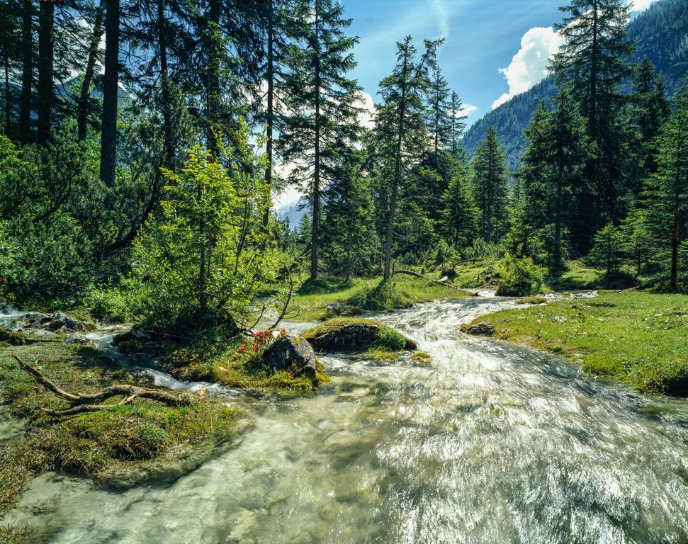 Hotel Laerchenhof Natur Seefeld in Tirol Eksteriør bilde