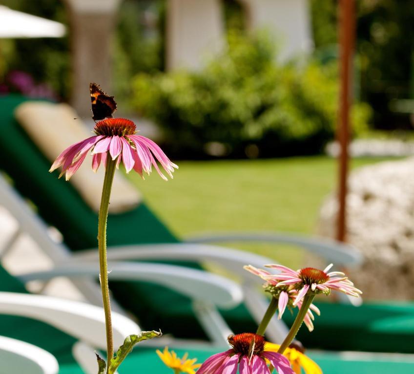 Hotel Laerchenhof Natur Seefeld in Tirol Rom bilde